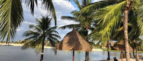 A beach with palm trees, a thatched hut, and lounge chairs.