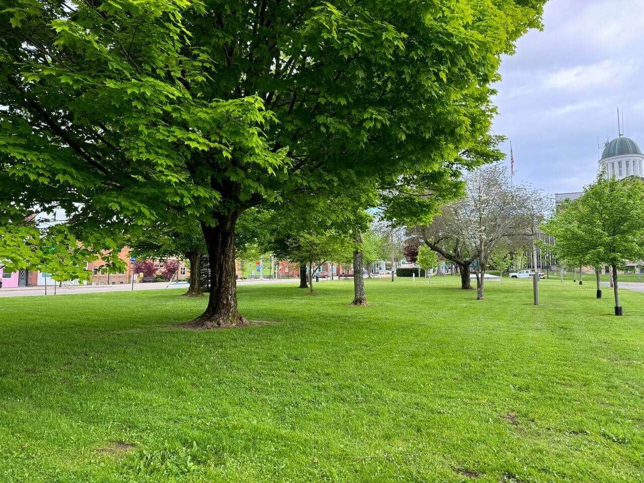 Terrein van de accommodatie