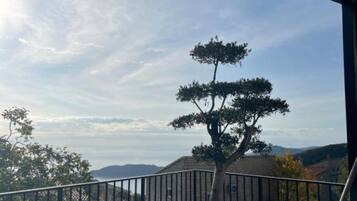 Un balcon agrémenté d’un bonsaï en pot, de chaises en osier et offrant une vue sur des collines lointaines.