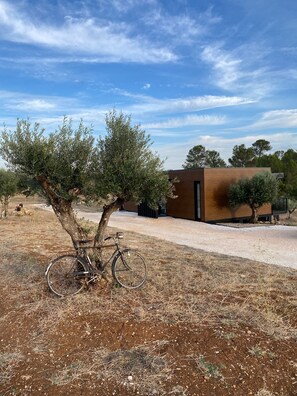 Overnatningsstedets område