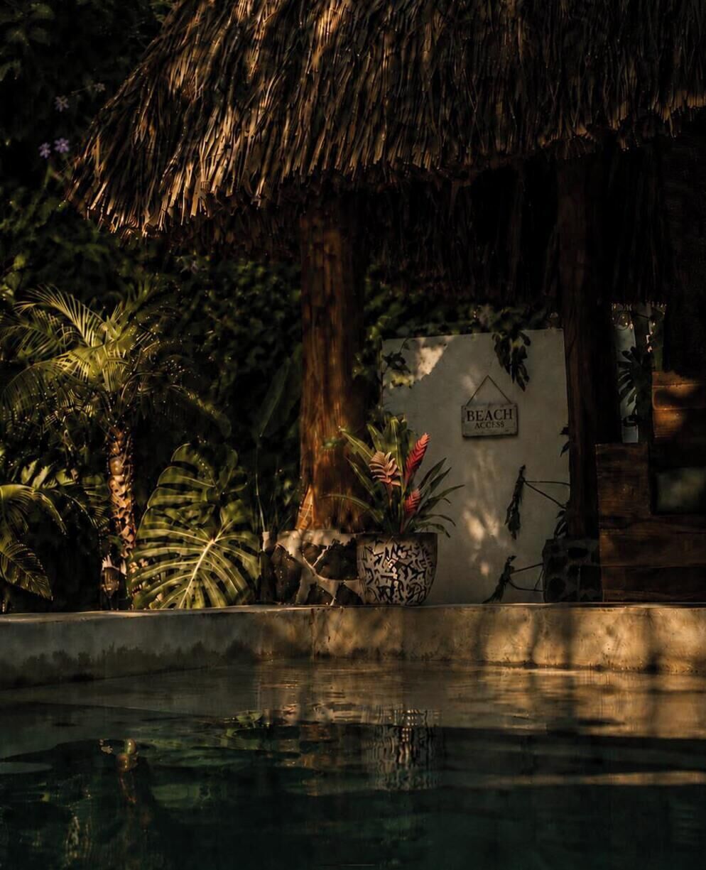 Un espace piscine doté d’un toit de chaume, de palmiers et d’un panneau indiquant l’accès à la plage.