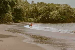 Playa en los alrededores 