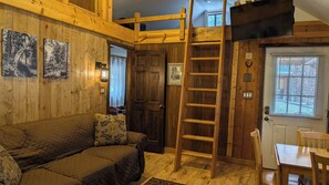 TV, fireplace, DVD player, books