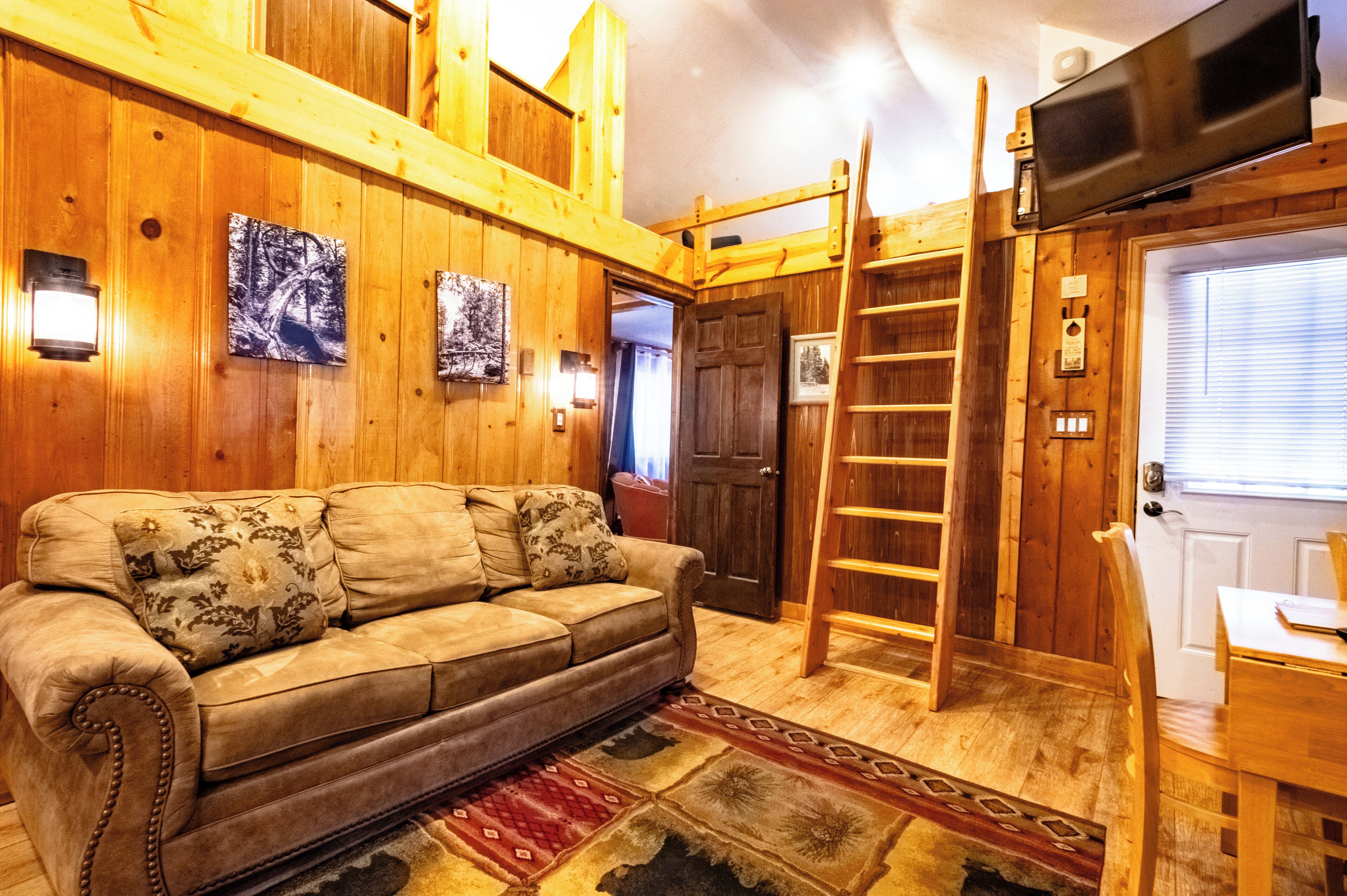 TV, fireplace, DVD player, books