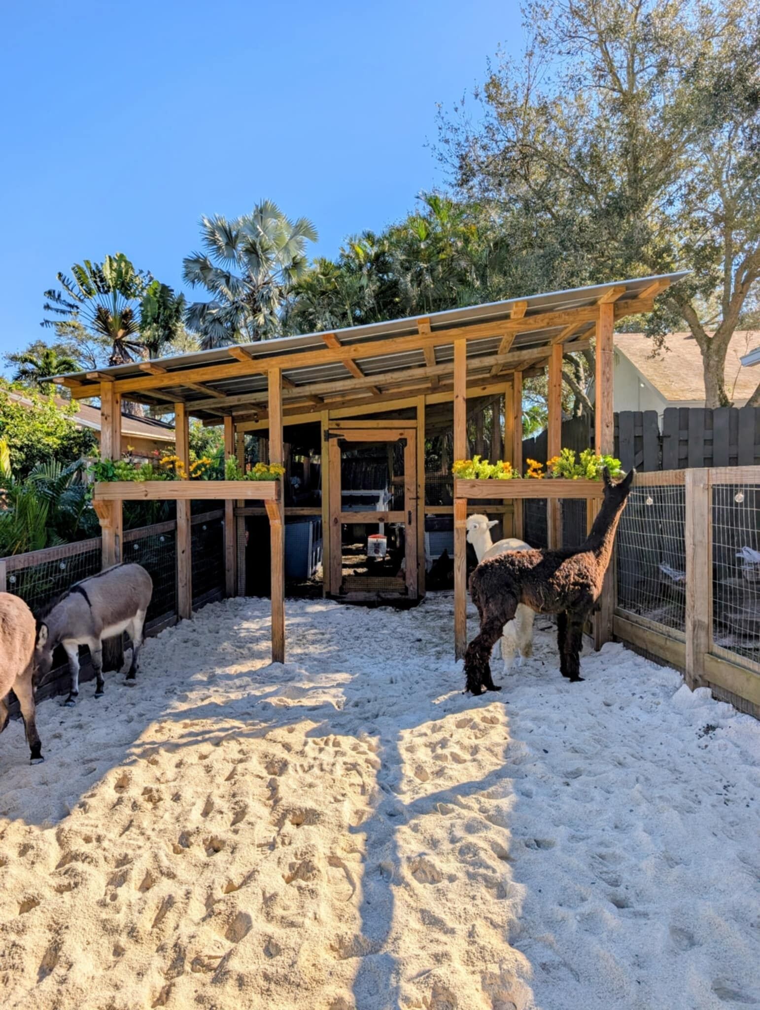 المنطقة المحيطة بالمنشأة