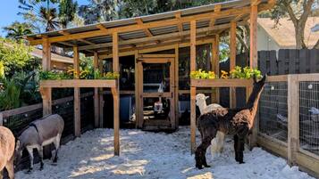 Enceinte de lâhĂ©bergement