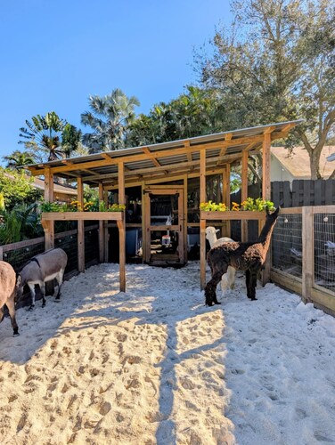 Charming 2-Bedroom Farmhouse Private Pool Retreat with Friendly Animals!