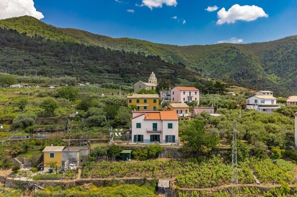 Un village perché sur une colline, avec des habitations, des vignobles et une église imposante.