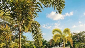 Zona de piscina con sillas de descanso, una estructura de techo de paja y follaje tropical.