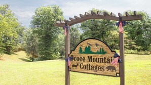 A wooden sign for 'Ocoe Mountain Cottages' with a silhouette of trees and a bear, surrounded by American flags. - Mountain Tiny Home in Blue Ridge Mountains (Copperhill)