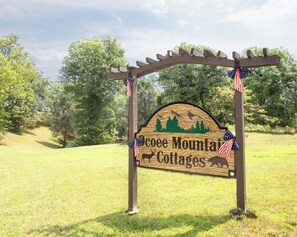 Property grounds - Mountain Tiny Home in Blue Ridge Mountains (Copperhill)