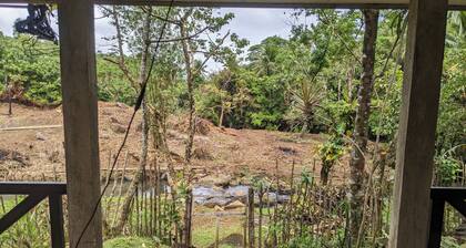 Creekside Farmhouse WI-FI Starlink/AC/Two Bedroom