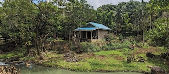 Creekside Farmhouse WI-FI Starlink/AC/Two Bedroom