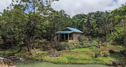 Creekside Farmhouse WI-FI Starlink/AC/Two Bedroom