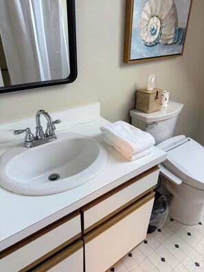 Douche, sèche-cheveux, bidet, serviettes fournies