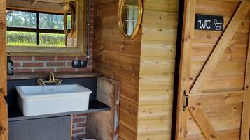 Shower, soap, toilet paper