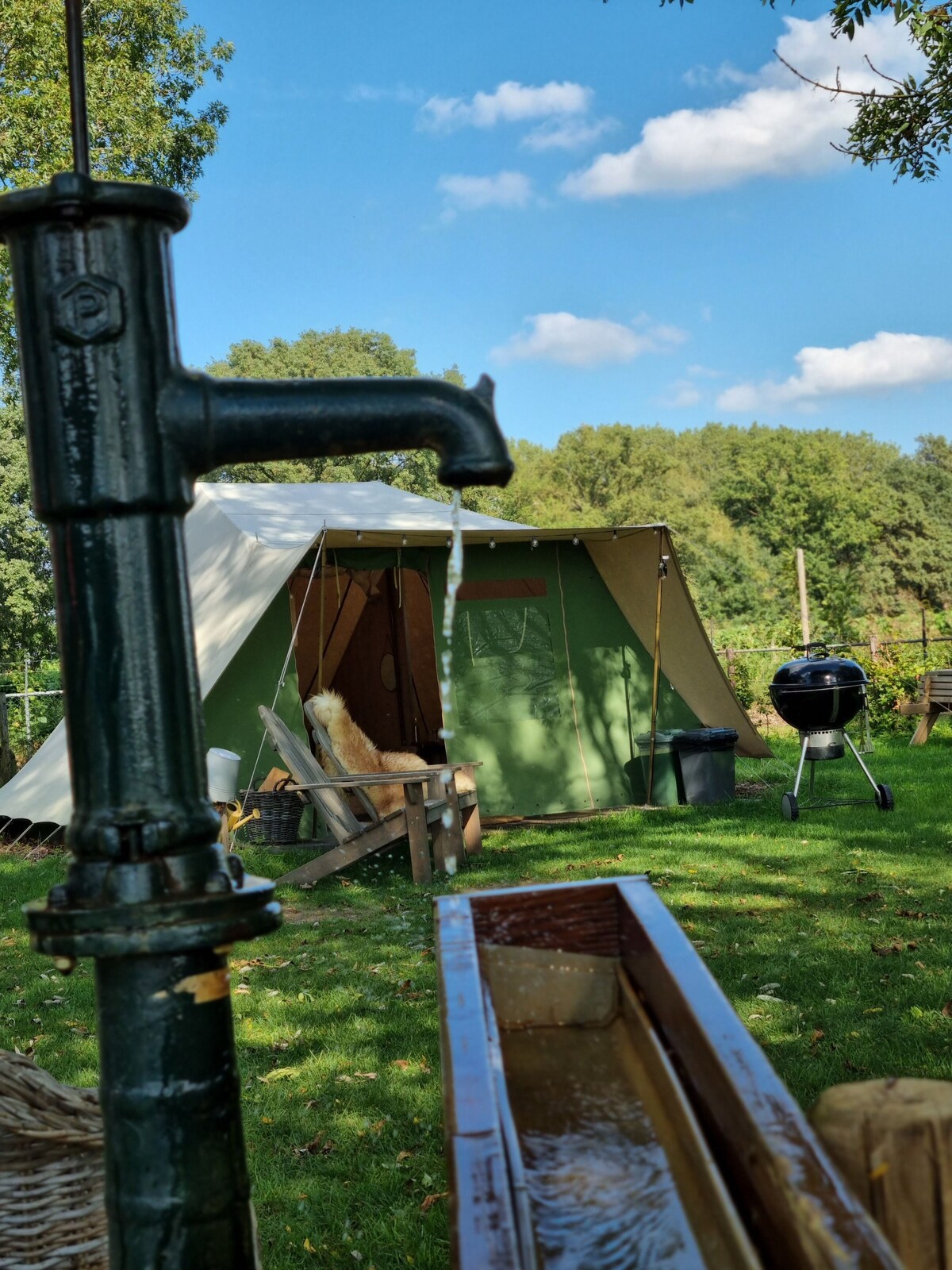 Image de profil de l’hôte