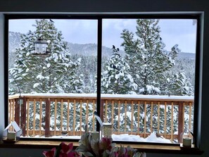 Interior - Ski Chalet - Amazing Views, Fire Pit, Fire Places (Angel Fire)