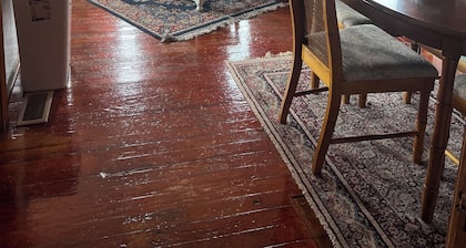 The Scottie D.
Across from Zillie's, a cozy 2-bedroom house in lovely Ocracoke