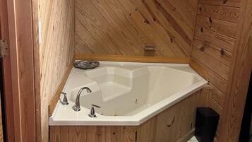 Shower, jetted bath, hair dryer, soap