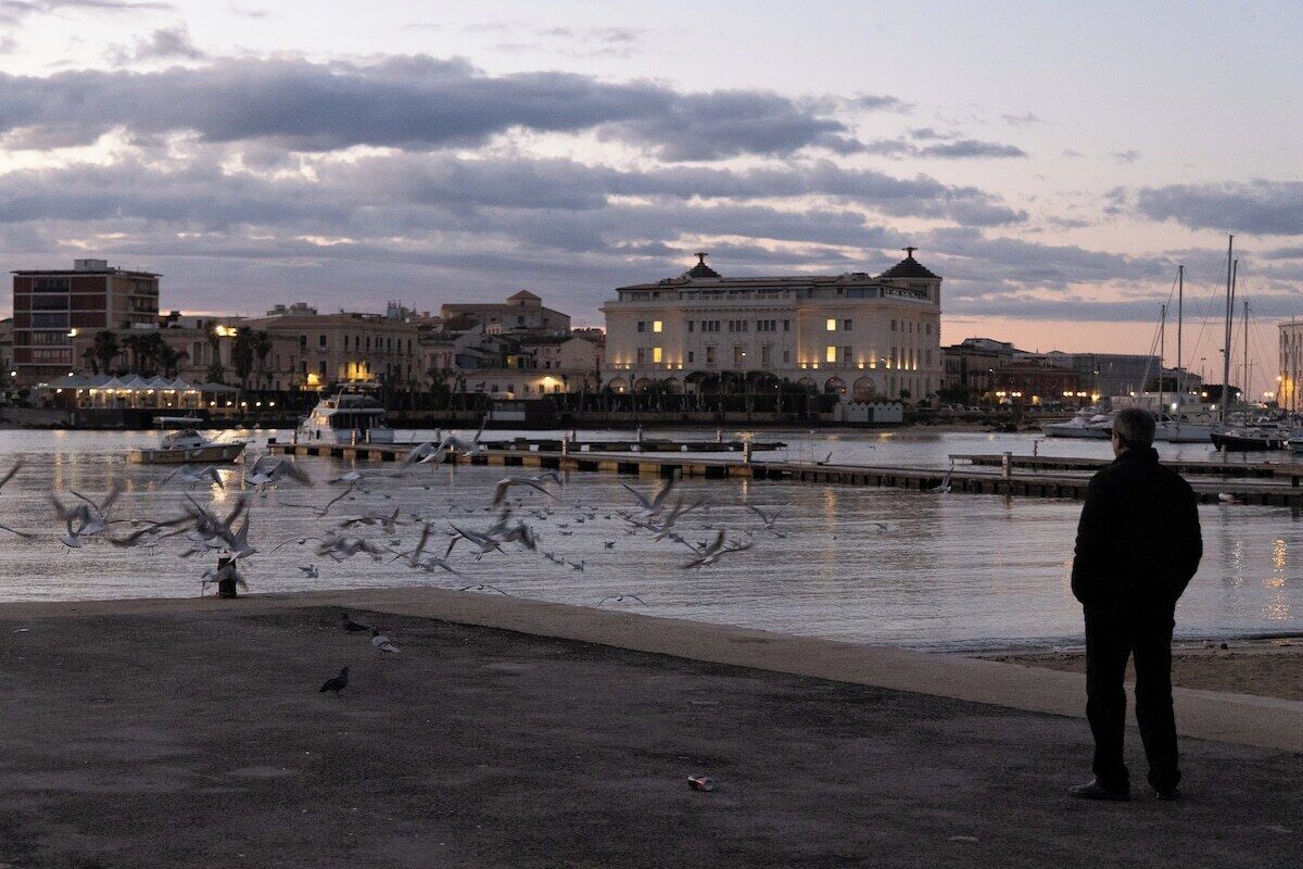 A waterfront scene with a person standing by the water, buildings in the background, and seagulls flying.