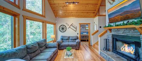 Télévision, cheminée, espaces bureaux