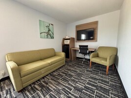 Deluxe Single Room, 1 King Bed, Non Smoking | Living area