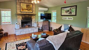 Smart TV, fireplace, DVD player, books