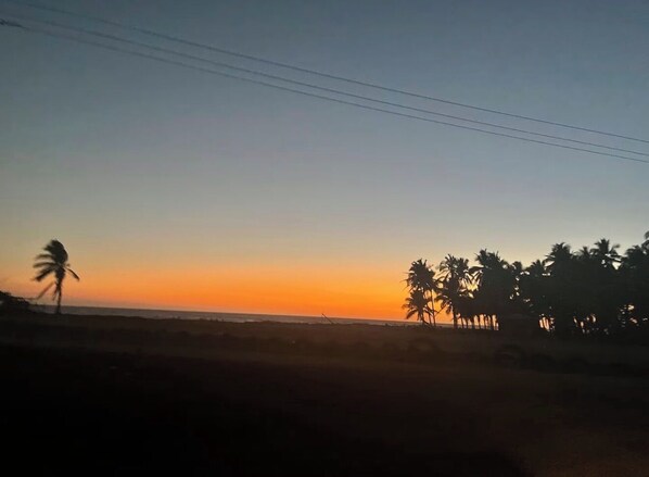 A sunset over a beach with palm trees silhouetted against the sky.
