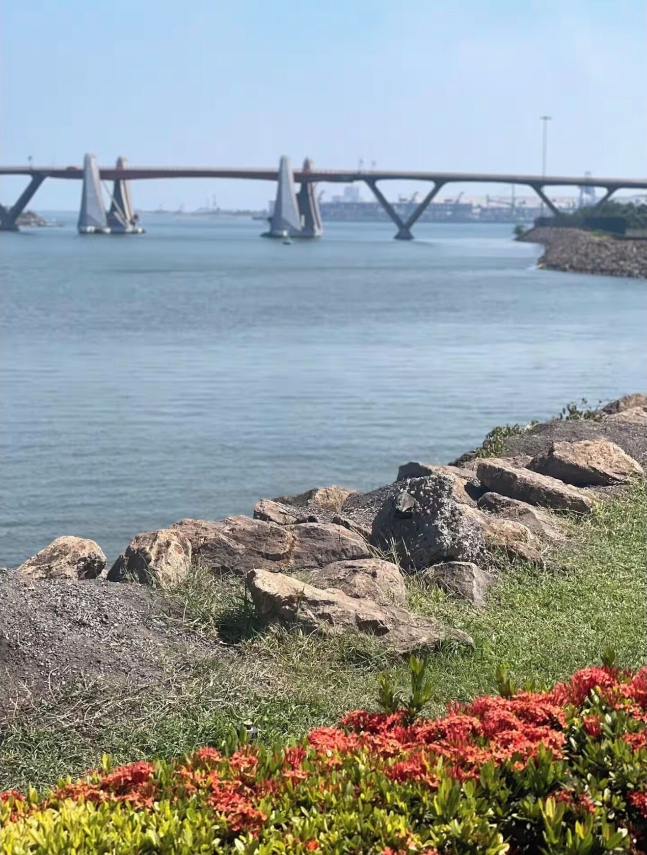 A river with a bridge in the background, a rocky shoreline, and a grassy area with red flowers in the foreground.
