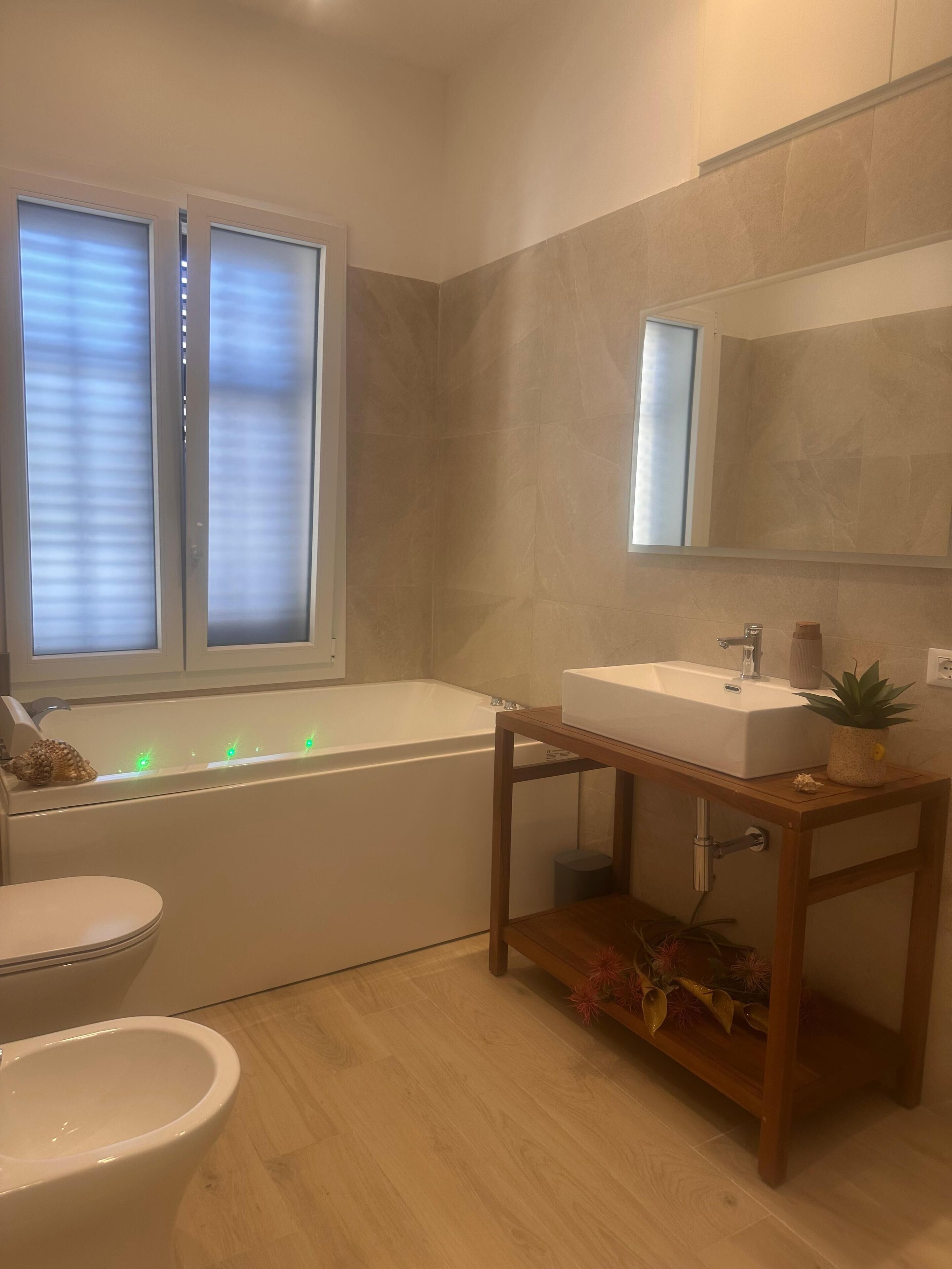 淋浴設備、按摩浴缸、風筒、坐浴桶