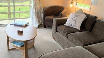 Una televisión, una chimenea, libros