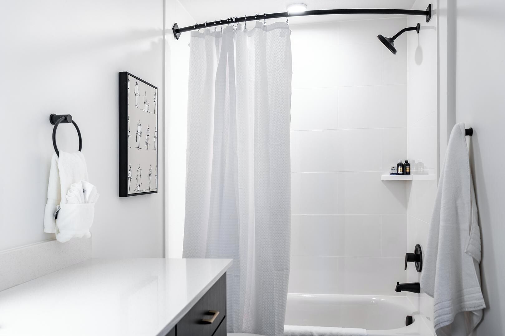 Un baño moderno con ducha, un lavamanos blanco, un perchero y un cuadro en la pared.