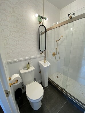 Shower, hair dryer, bidet, towels