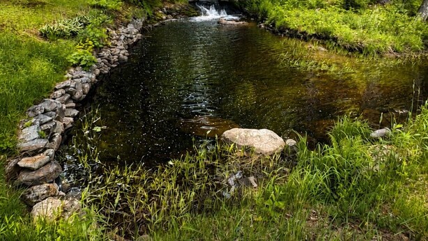 A serene outdoor setting with a small stream, lush greenery, and a stone-lined water feature. - Peaceful Lakes Region Retreat  | Canoe + Fire pit (Meredith)