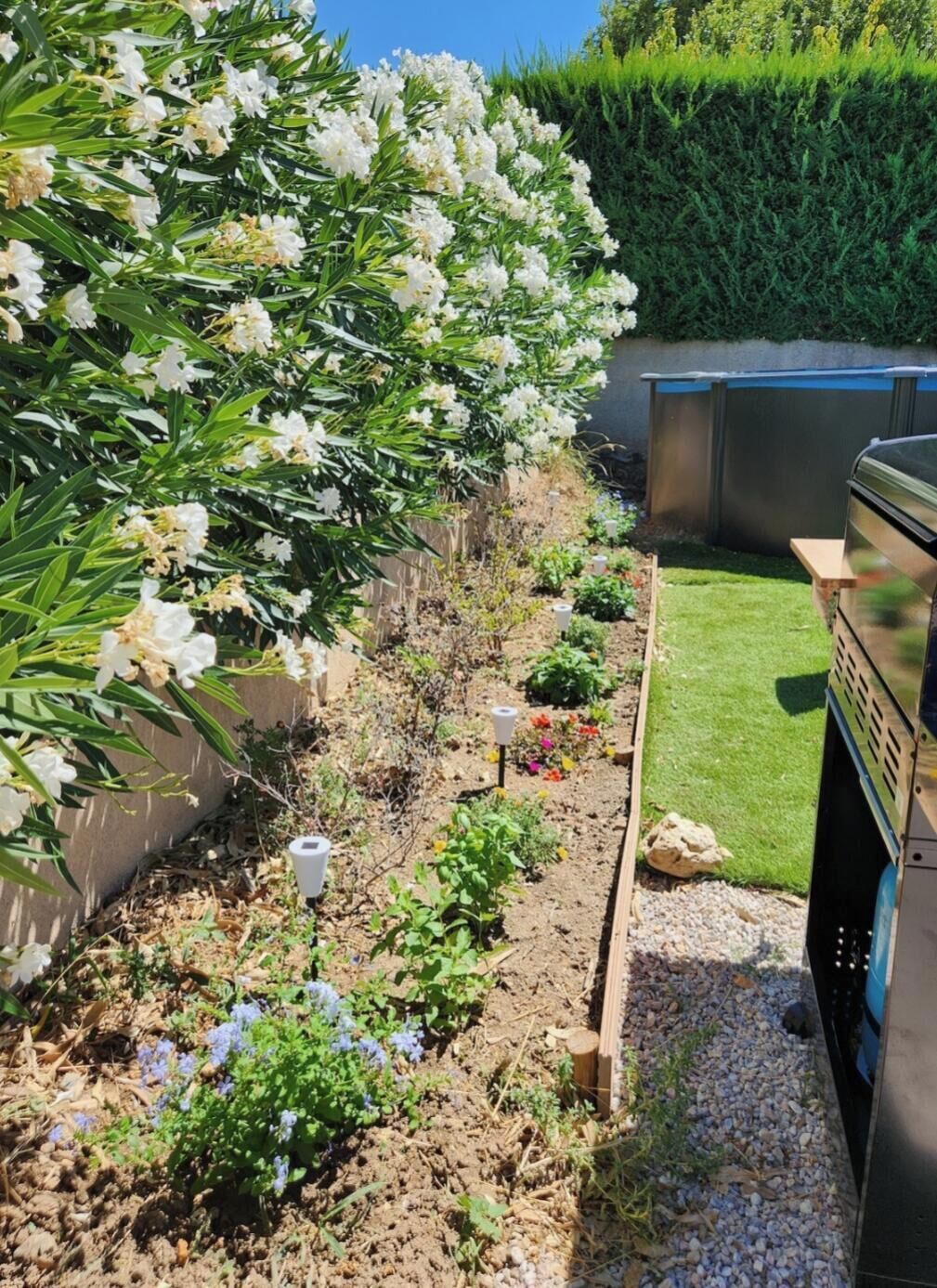 Overnatningsstedets område