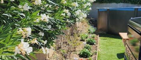 Overnatningsstedets område