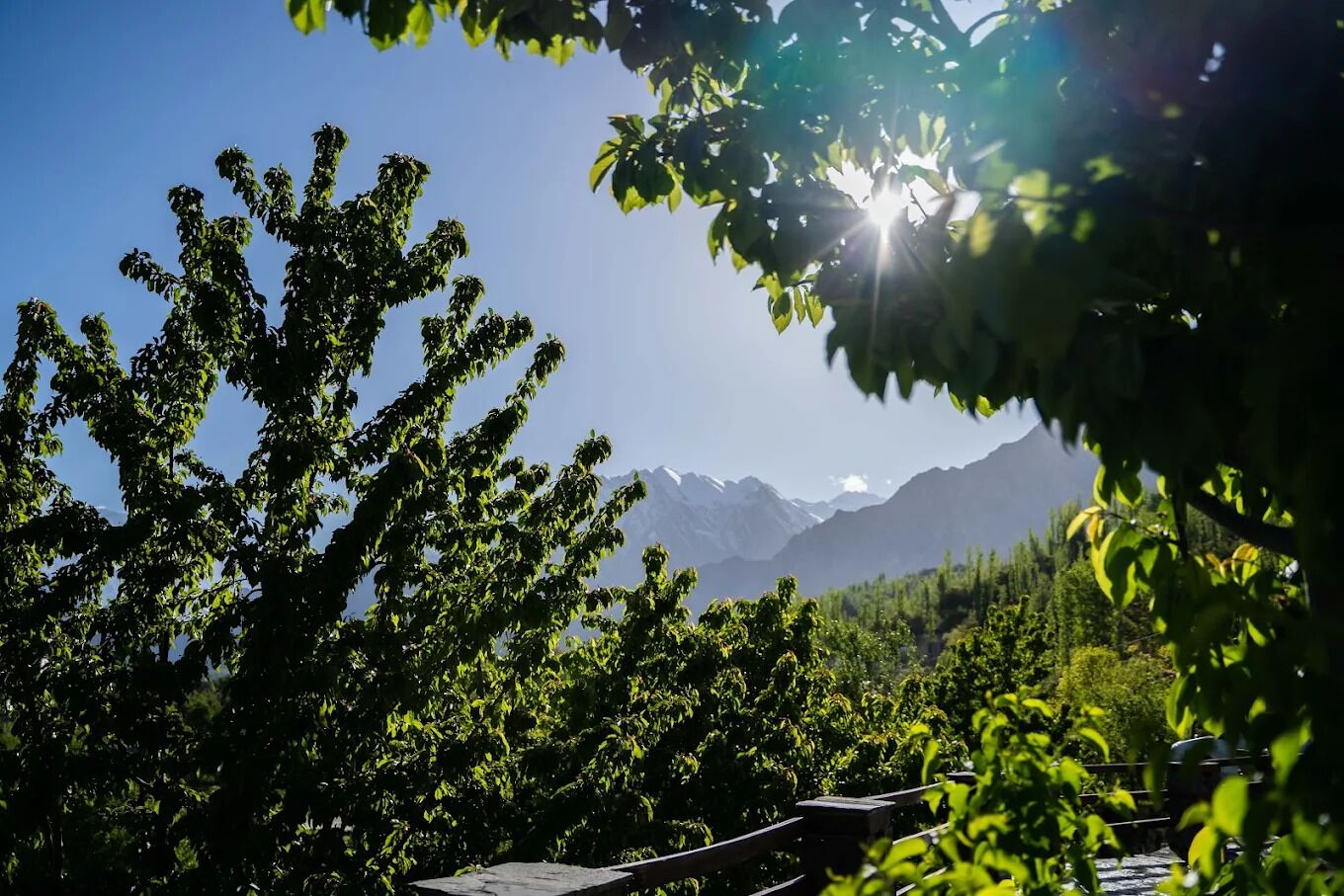 Utsikt från boendet