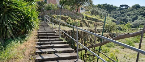 Parco della struttura