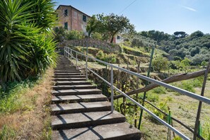 Una escalera de piedra con barandales de metal que asciende por una ladera, rodeada de vegetación y un edificio al fondo.
