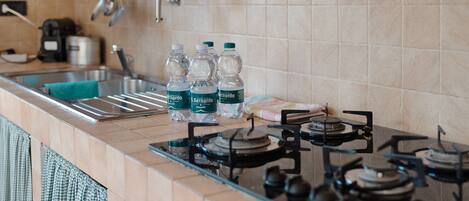 Fridge, oven, stovetop, coffee/tea maker