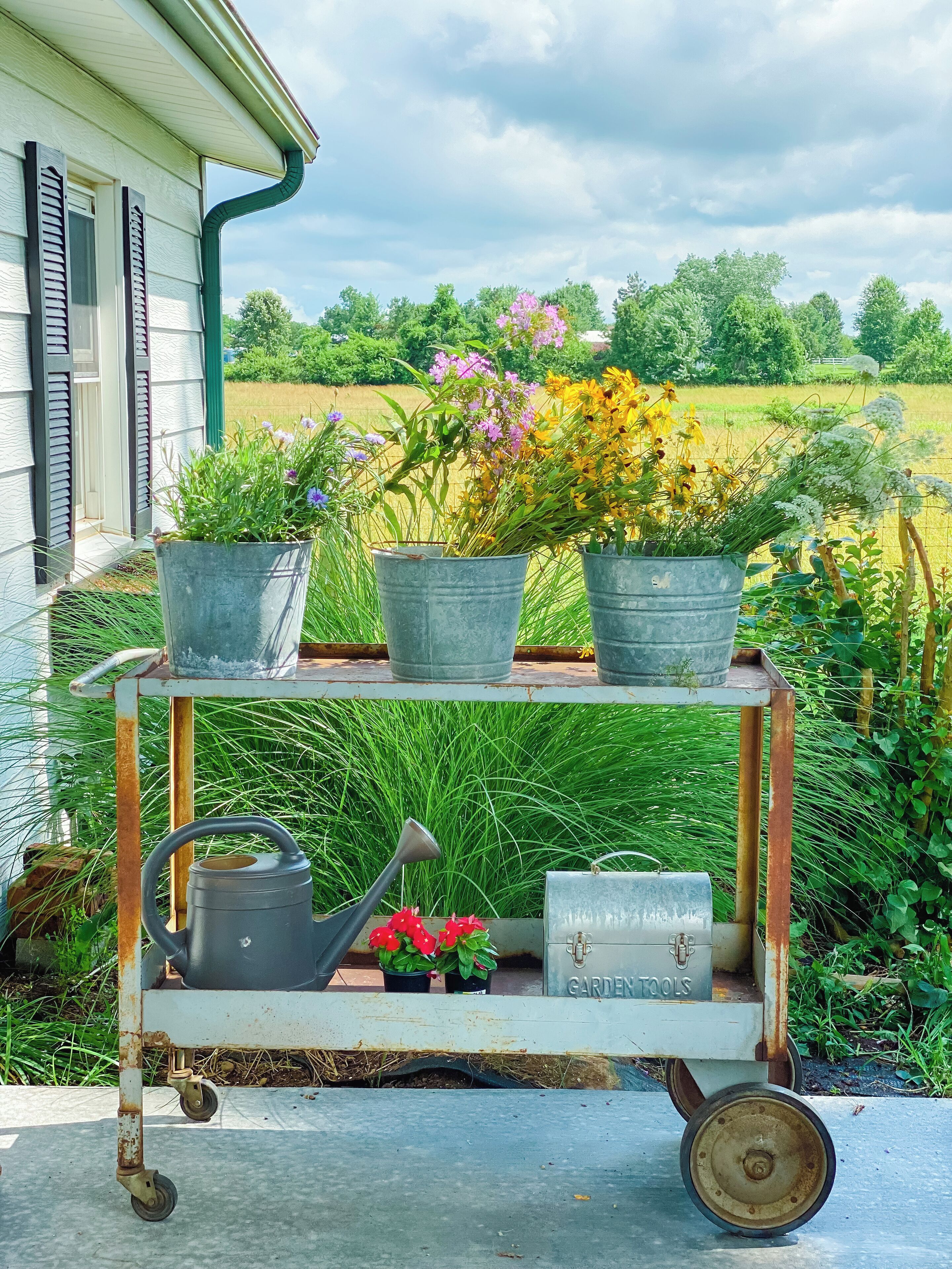 Área da propriedade