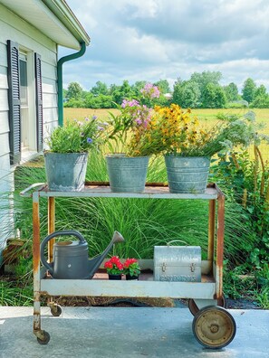 Property grounds - Historic Farmhouse -Modern Amenities -1800’s Charm (Bois D'Arc)