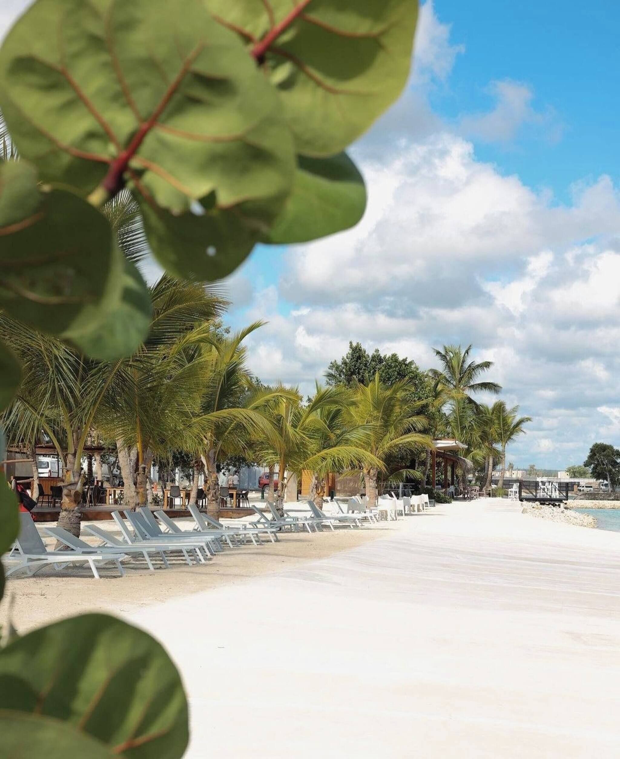 A beach with lounge chairs and palm trees, a wooden walkway, and a building in the background.