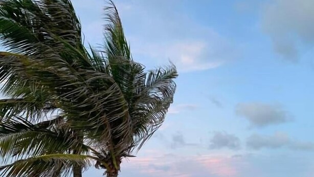 A sandy beach with two palm trees and a clear view of the ocean. - POUSADA SOLEIL DE GENIPABU (Extremoz)