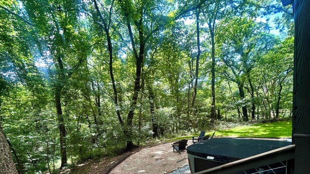 A wooden deck with a metal railing overlooking a forested area.
