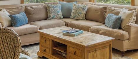 Télévision, cheminée, espaces bureaux