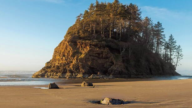 A rocky outcrop with trees on a sandy beach. - Anchor House -  Ocean View Home with Lookout Tower (Neskowin)