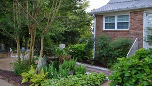 A garden with various plants and a brick building with a window and a door.