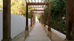 Un pasillo con pérgola de madera, con un muro blanco a un lado y abundante follaje al otro.
